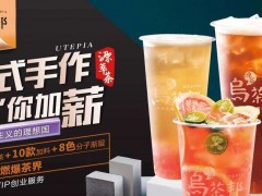 飲品投資項目選擇烏茶邦加盟怎么樣