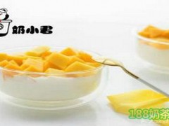 奶小君代餐酸奶加盟