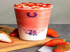 小馬春麗加盟