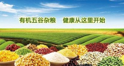 天然食品神，返撲又歸真——2016上海有機食品展