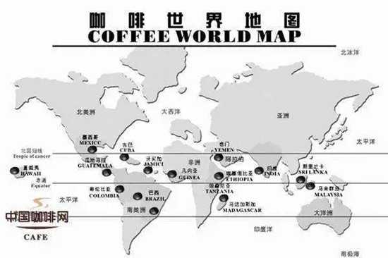 咖啡市場供需情況如何？影響咖啡價格的因素有哪些？