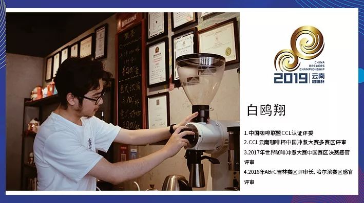 白鷗翔.jpg