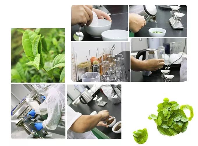 茶葉.jpg