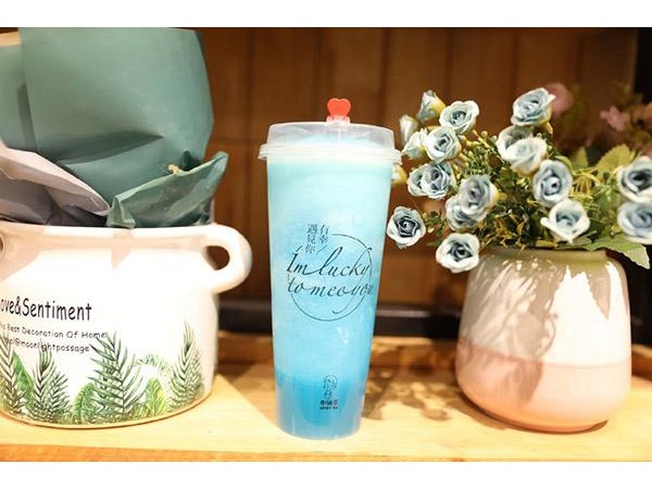 小確茶的加盟費是多少，小成本投入帶來福音