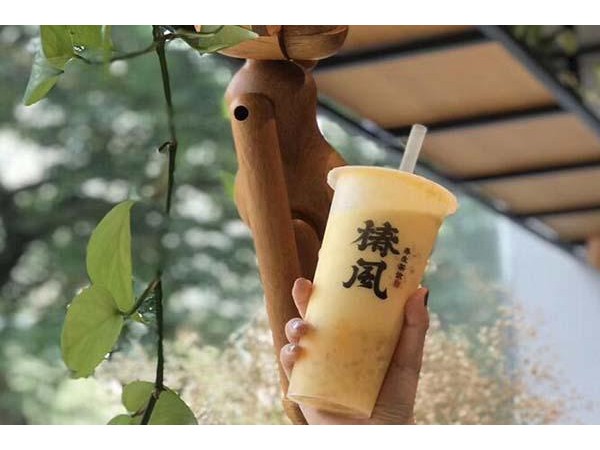 椿風一般利潤有多少，丨優(yōu)勢多多