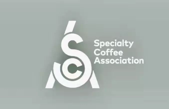 新精品咖啡協(xié)會(huì)SCA誕生，你會(huì)再追“考證潮”嗎？