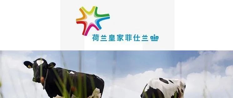 優(yōu)質(zhì)供應(yīng)鏈品牌展播｜菲鳥