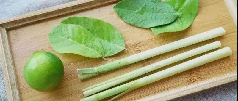 用香水檸檬、香茅做茶飲不好喝 問題可能出在原料上