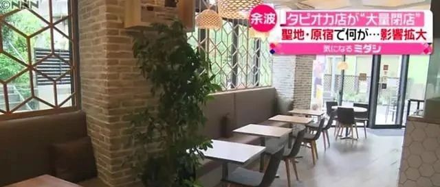 日本珍珠奶茶熱大崩塌的警示