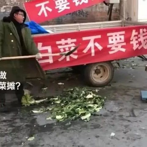 小伙子拉一車白菜，光送不賣， 個小時賺了，你覺得懵嗎