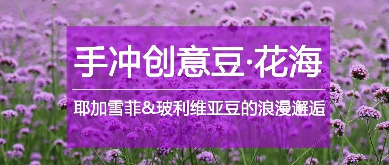 手沖創(chuàng)意豆·花海 | 喝咖啡當(dāng)然要“好星情”