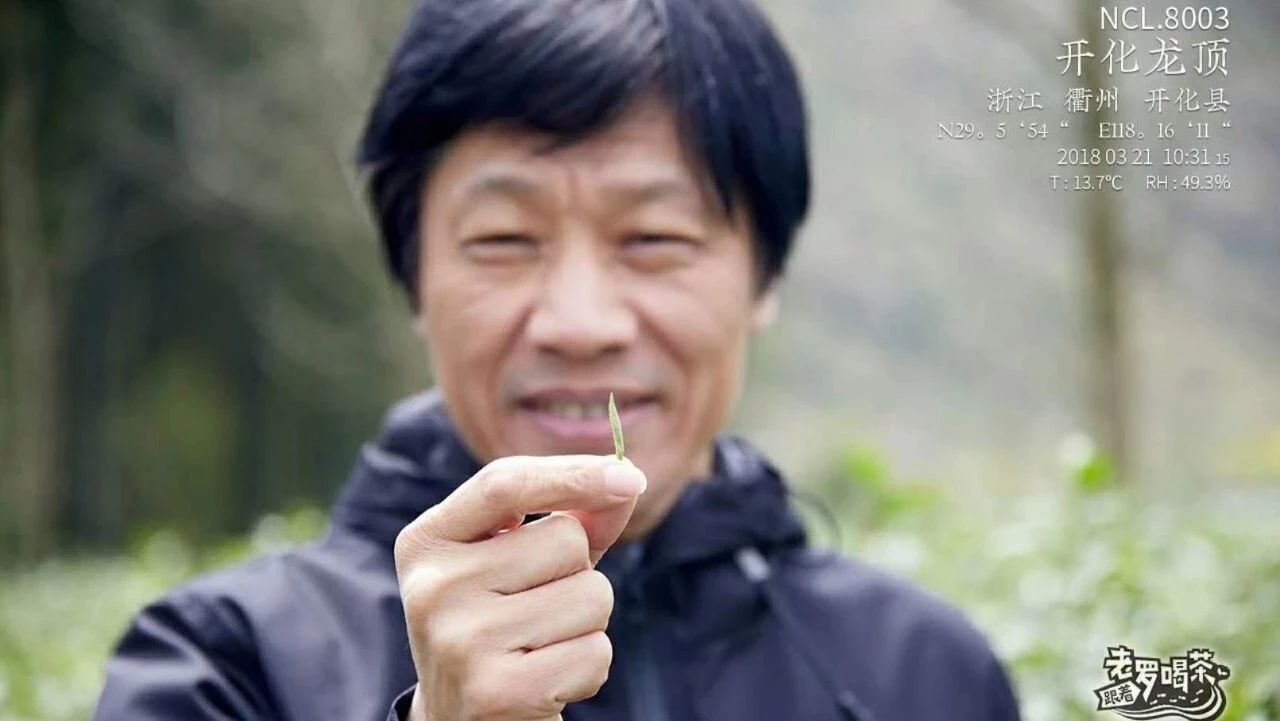 茶界勞模羅軍：我要一年給你 款茶！| 跟著老羅喝茶