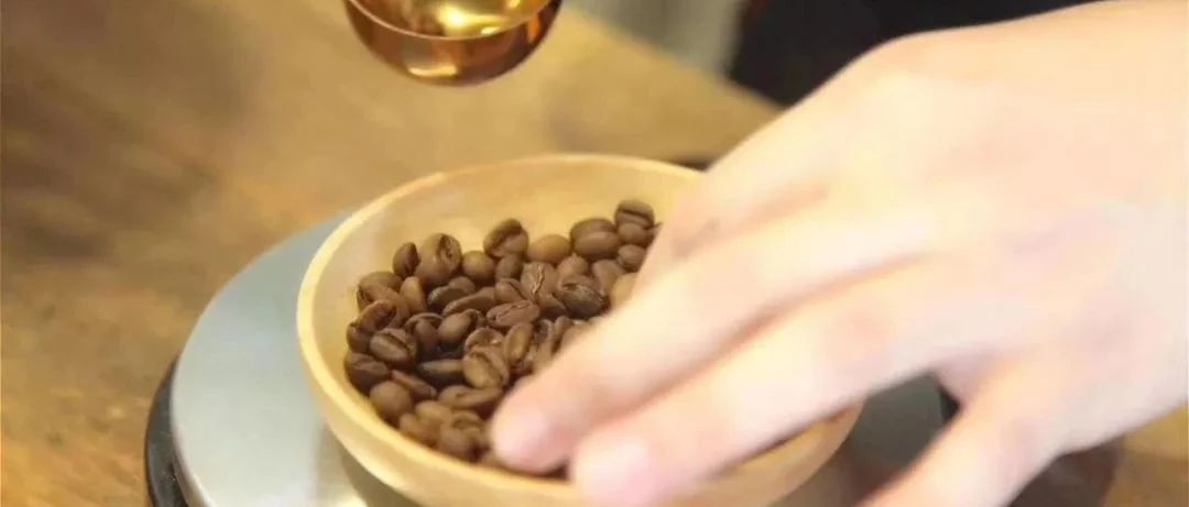 瑕疵豆的世界 | 熟豆里的瑕疵豆有哪些？