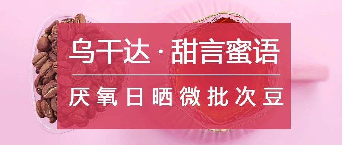 . 折入手烏干達(dá)甜蜜好豆（月底特惠，僅在今天）