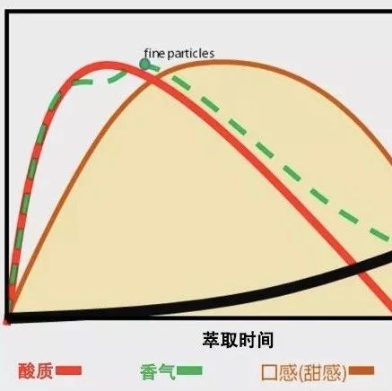 【手沖技巧】影響咖啡沖煮的關(guān)鍵因素：萃取時間