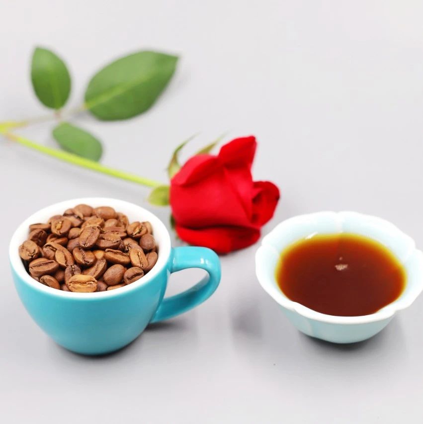 周末有好豆 | 這杯 分的綠頂瑰夏，你喝過嗎？