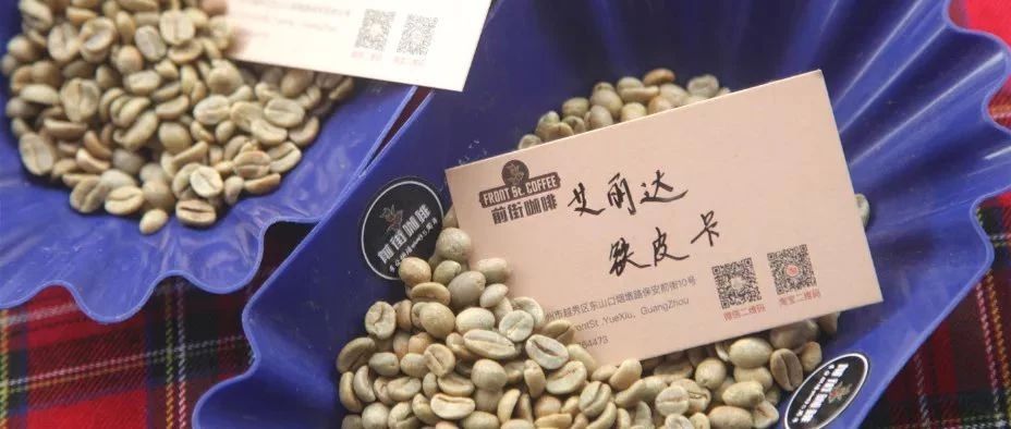 品種對比 | 艾麗達莊園的卡杜艾和鐵皮卡有什么不一樣？