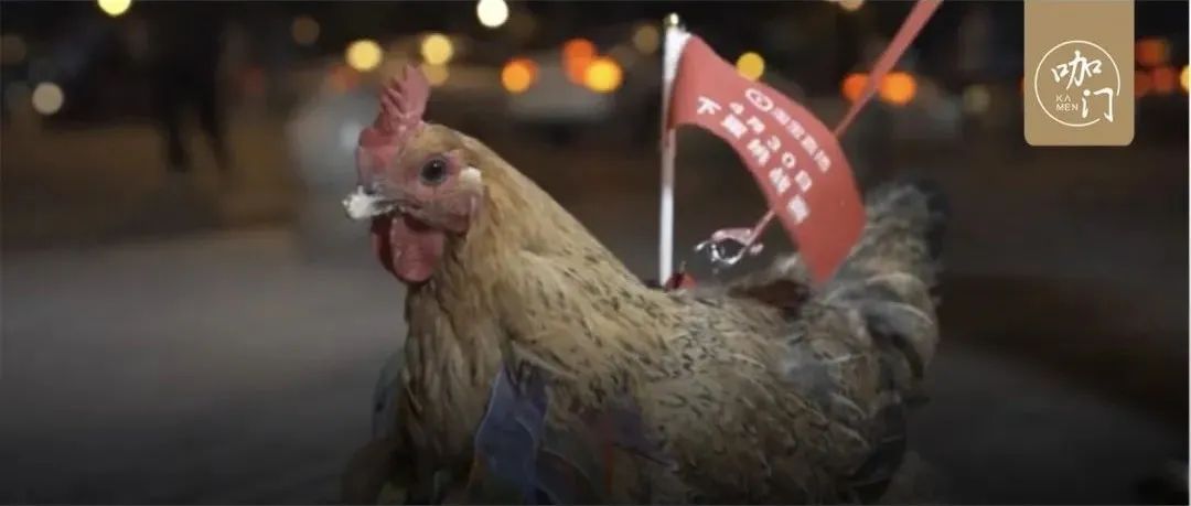 連雞都派上場，這些店發(fā)傳單的姿勢也太絕了