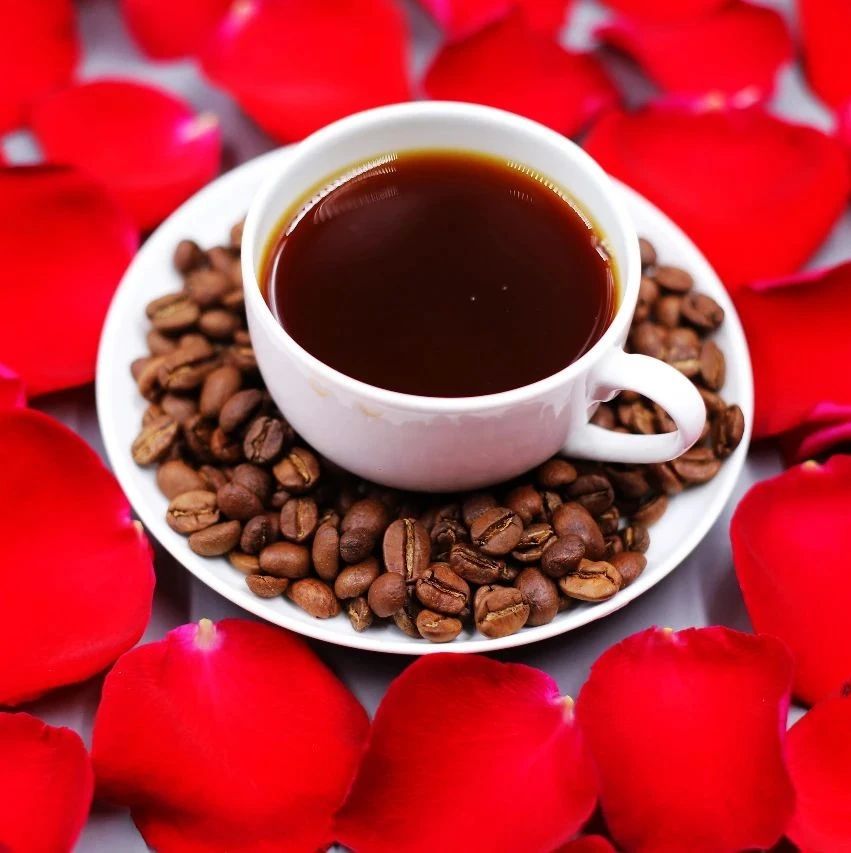 您喜歡的手沖創(chuàng)意豆“紅”歸來，#限量組合特惠#來帶走！