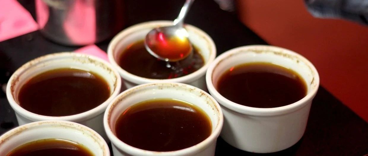 疫情全球肆虐，咖啡杯測將被終結(jié)？