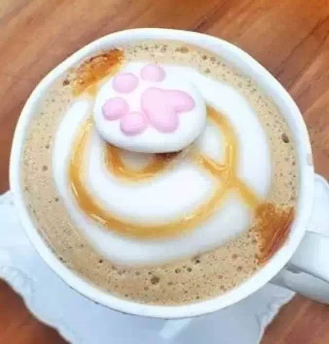 上海最棒的十二家隱世咖啡店