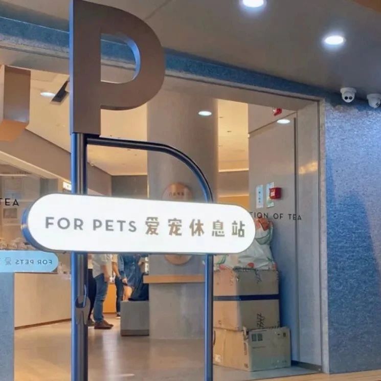 喜茶寵物友好店來了，甚至能給貓狗相親？