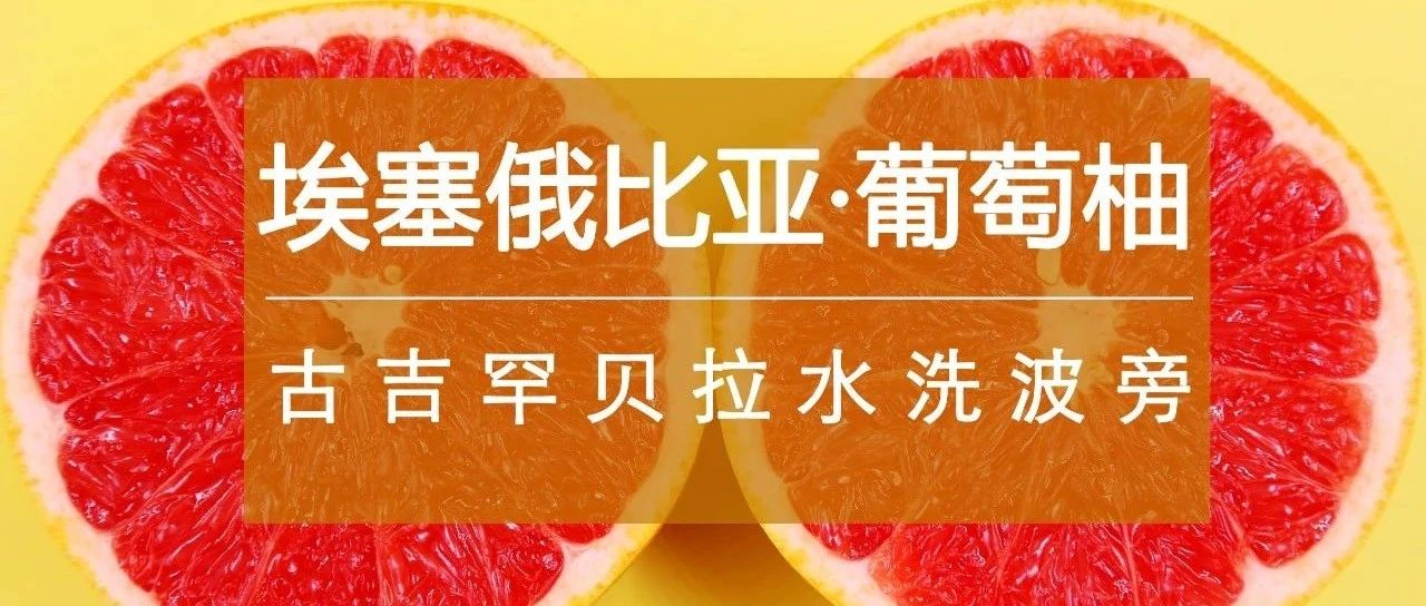 又一爆款豆上線>第包半價，咖啡控都入手了！