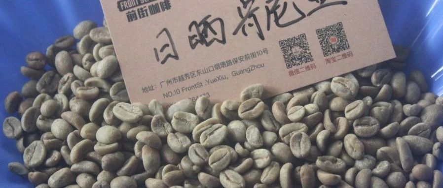 【專題報告】肯尼亞涅里歐薩亞合作社罕見的日曬處理！