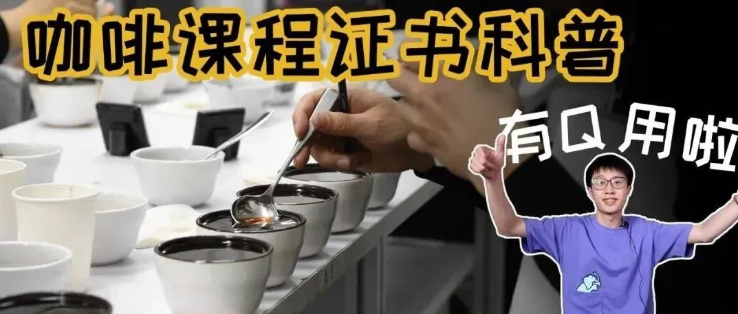 咖啡證書有用嗎？培訓(xùn)課程怎么選？一篇幫你看懂