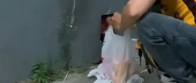 外賣奶茶收貨地址竟是狗洞！網(wǎng)友：難為外賣員找到了